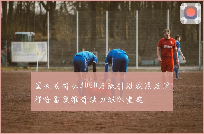 国米或将以3000万欧引进波黑后卫穆哈雷莫维奇助力球队重建