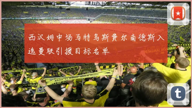 西汉姆中场马特乌斯费尔南德斯入选曼联引援目标名单